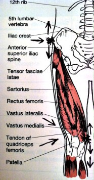 Fibromyalgia Leg Pain results when strength and agility are lost.