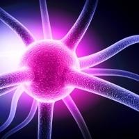 Drug Under Development Spells Hope for Pain Relief in Fibromyalgia